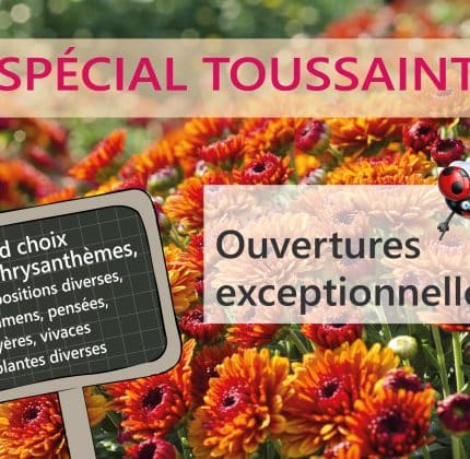 Toussaint – Ouvertures exceptionnelles des Serres et jardineries
