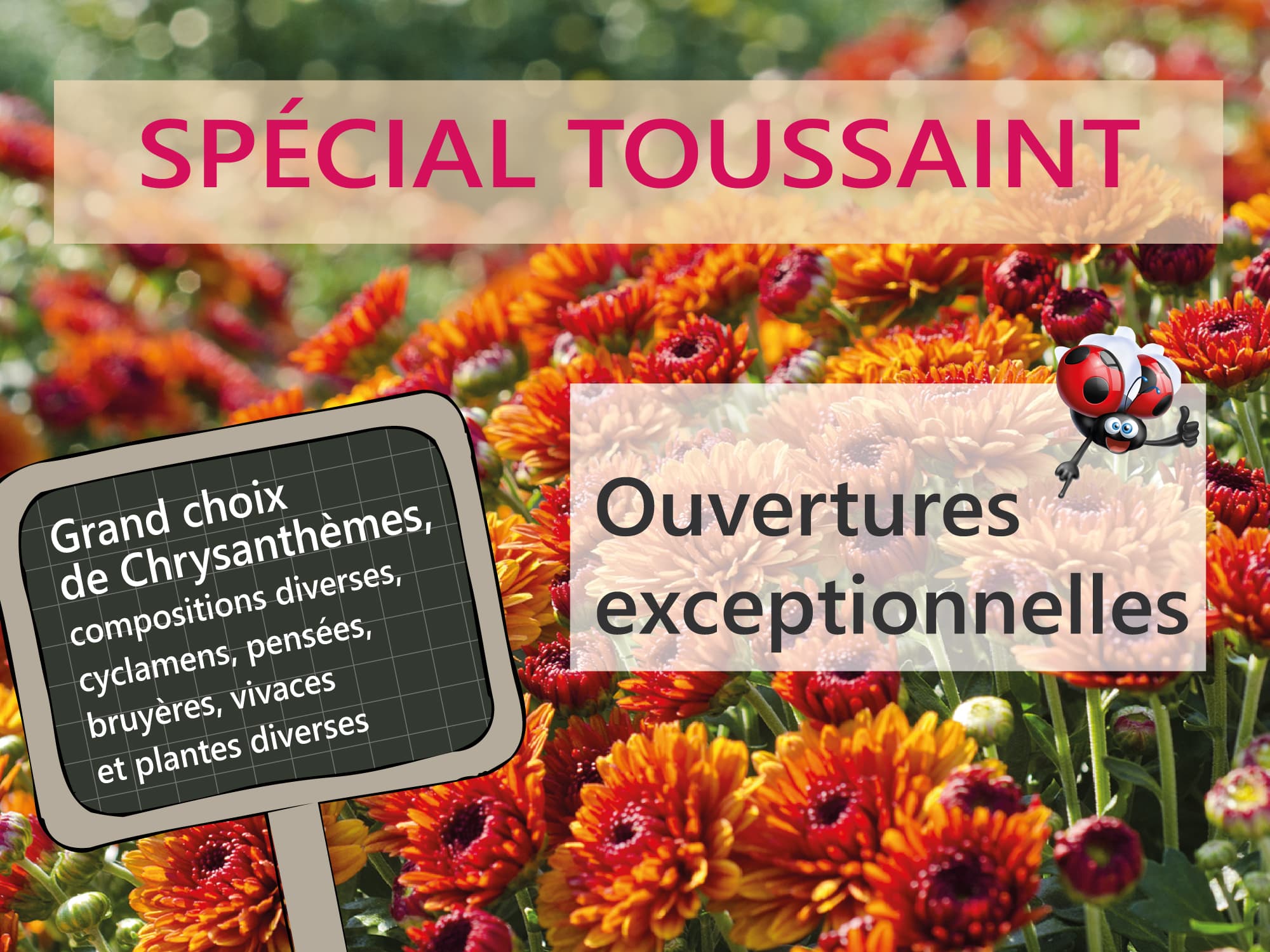 Toussaint – Ouvertures exceptionnelles des Serres et jardineries