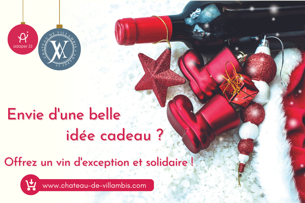 [CHÂTEAU DE VILLAMBIS] – Envie d’une belle idée cadeau sous le sapin ?…