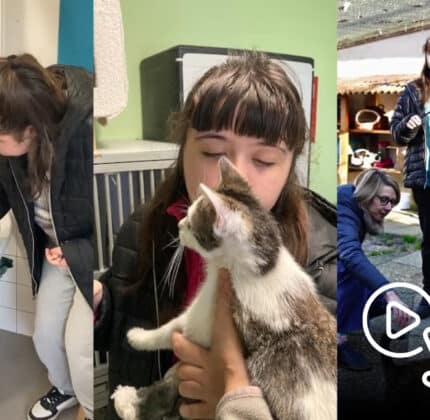 Médiation animale à l’IME Taussat : un partenariat toujours aussi inspirant !